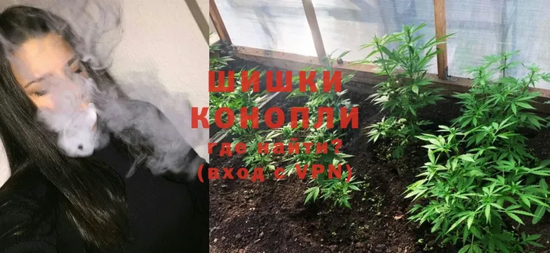 Бошки марихуана THC 21%  блэк спрут вход  Ленск  как найти  